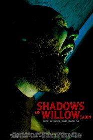 Shadows of Willow Cabin